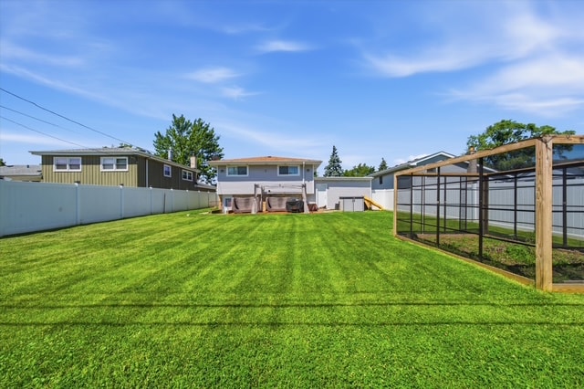 Backyard view from rear of house